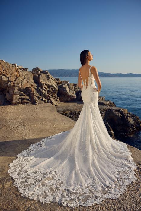 Sigorni-Sophia Tolli Y3196