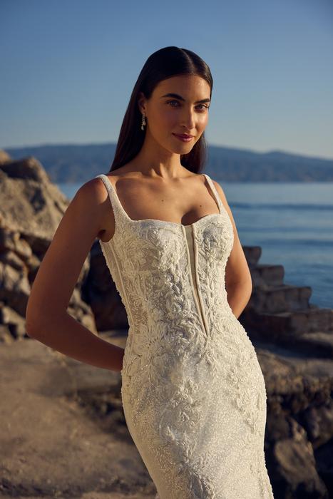 Sigorni-Sophia Tolli Y3196