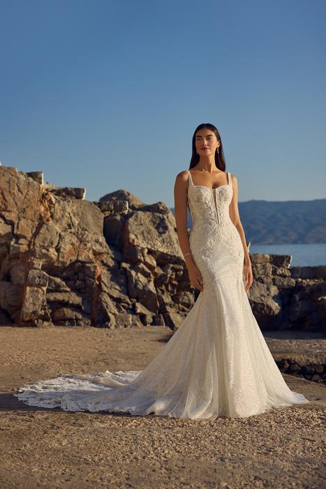 Sigorni-Sophia Tolli Y3196