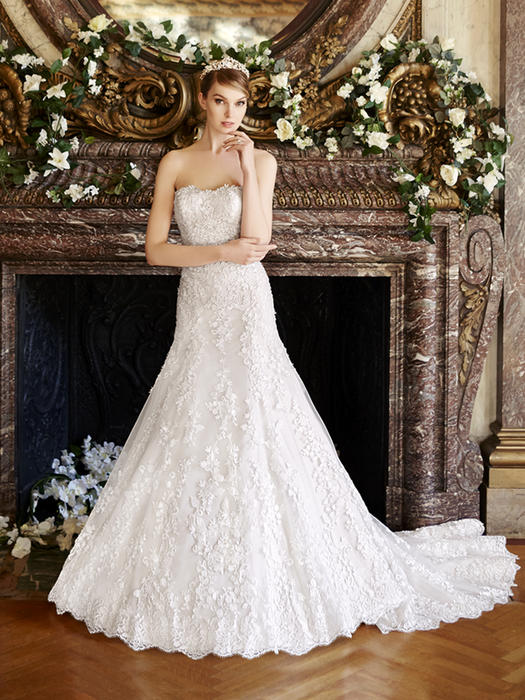 Moonlight Collection Wedding Dresses | Bridal ball gown, Wedding dresses  lace, Ball gown wedding dress