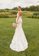 2729 Ivory/Blush/Prosecco back