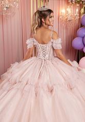 89508 Blush back