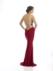 9382 Maroon back