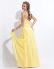 2737 Yellow back