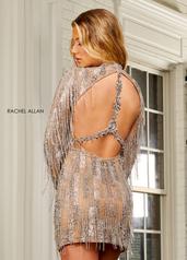 40196 Nude/Silver back
