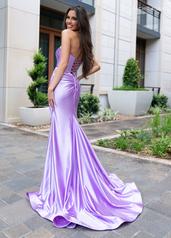 70720 Lilac back