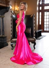 70736 Hot Pink back