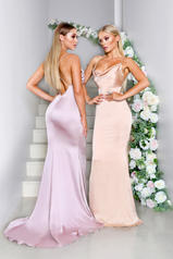 Dana_Gown Champagne front