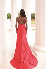 1024 Red detail