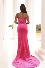 1034 Hot Pink Silver back