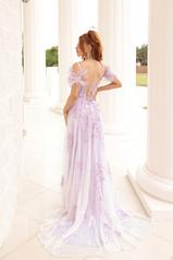 1072 Lilac back