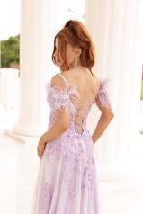 1072 Lilac back