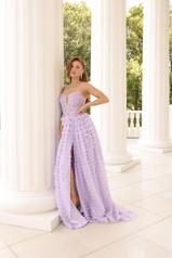 1037 Lilac detail