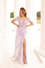 1072 Lilac front