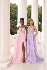 1037 Lilac multiple