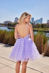 6073 Lilac back