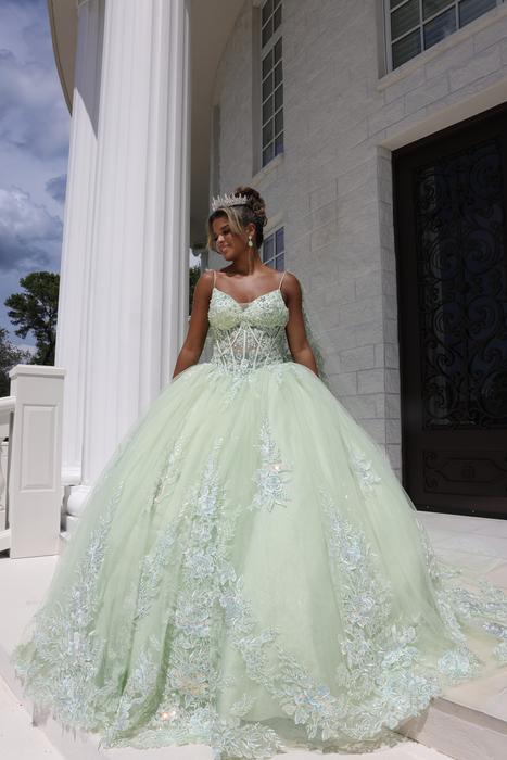 Sophia Thomas Quinceanera Ball Gown Collection Q147