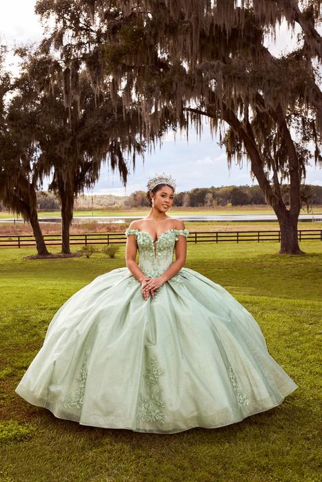 Sophia Thomas Quinceanera Ball Gown Collection Q160