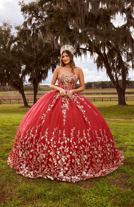 Sophia Thomas Quinceanera Ball Gown Collection Q161