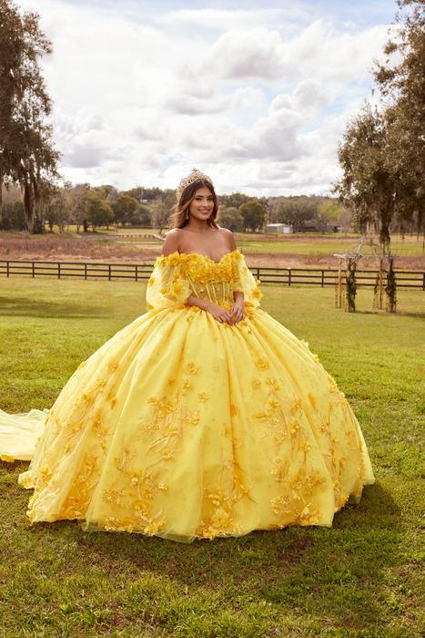 Sophia Thomas Quinceanera Ball Gown Collection Q166