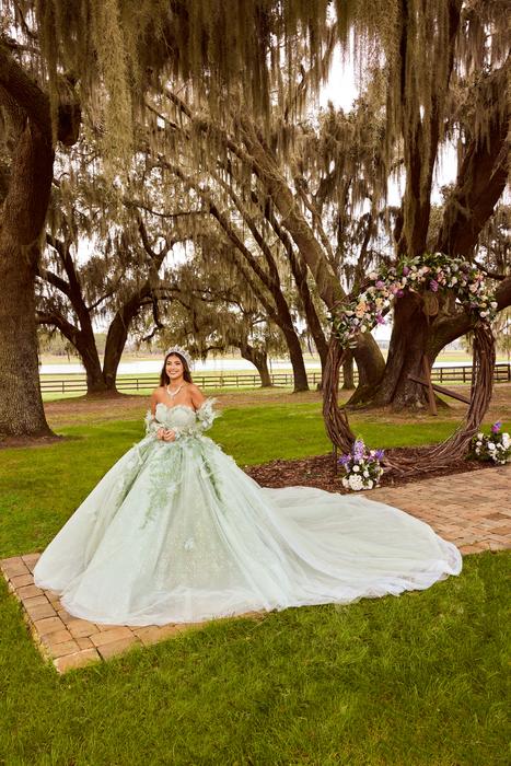 Sophia Thomas Quinceanera Ball Gown Collection Q171