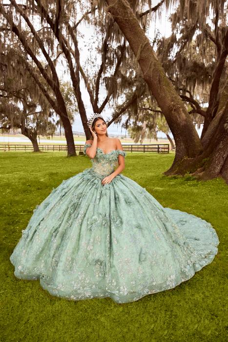 Sophia Thomas Quinceanera Ball Gown Collection Q174