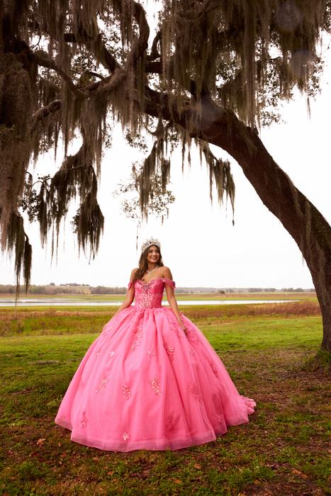 Sophia Thomas Quinceanera Ball Gown Collection Q176