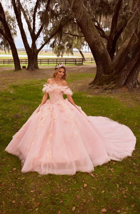 Sophia Thomas Quinceanera Ball Gown Collection Q181
