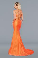 22039 Orange back