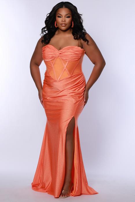 Plus Size Prom 14-32 TE2506