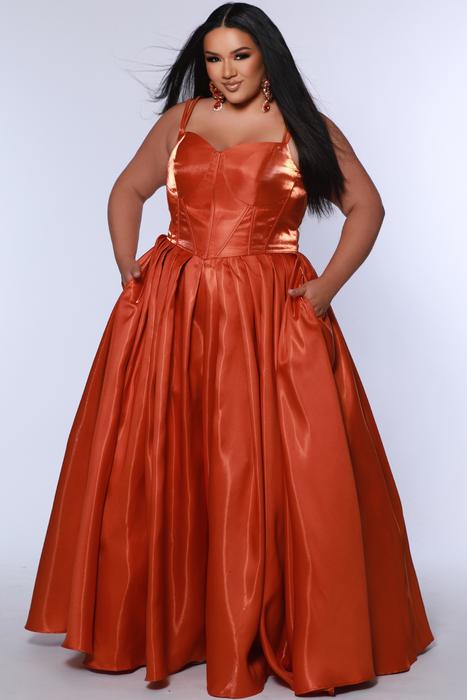 Plus Size Prom 14-32 TE2518