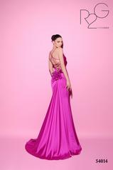 54014 Fuchsia back