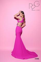 54106 Fuchsia back