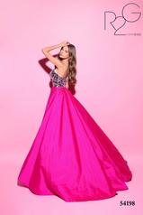 54198 Fuchsia back