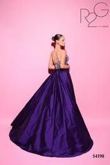 54198 Purple back