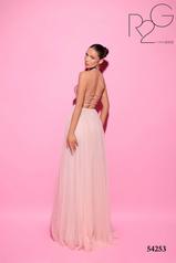 54253 Pearly Pink back