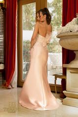 242E3164 Blush back