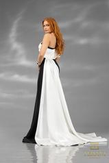 251E4205 black ivory back