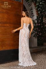 251P4008 Ivory Nude back