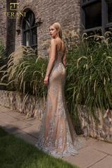 251P4366 Silver Nude back