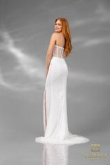 251P4560 Ivory back