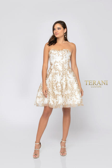 Terani Prom 1911P8073