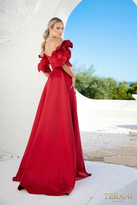 Terani Couture Mother of the Bride 232M1510