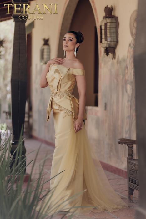 Terani Couture Evening 232E1241