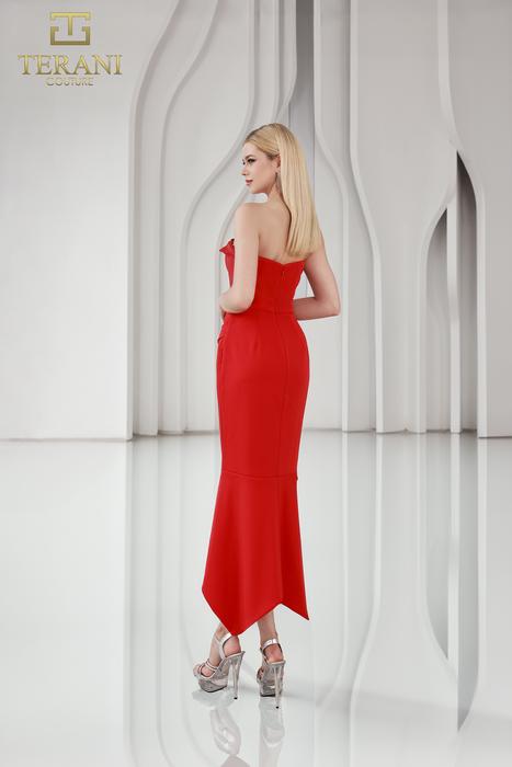 Terani Couture Cocktail 251C4173