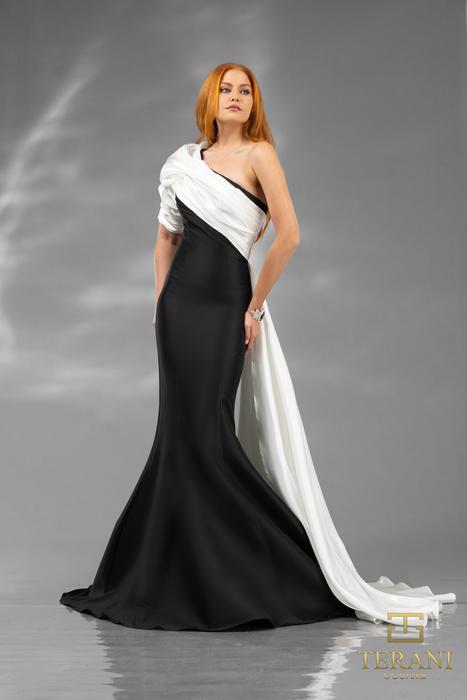 Terani Couture Evening 251E4205