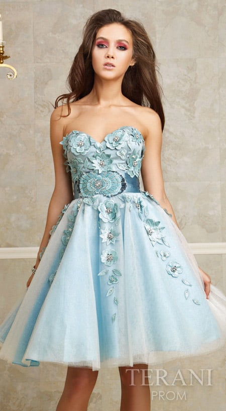 Terani Short Prom Dresses 25831OLD