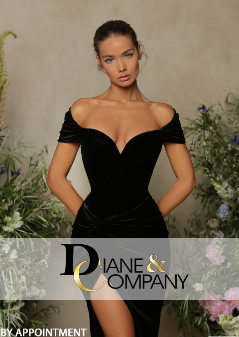 Diane & Co- Prom Boutique, Pageant Gowns, Mother of the Bride, Sweet 16,  Bat Mitzvah | NJ