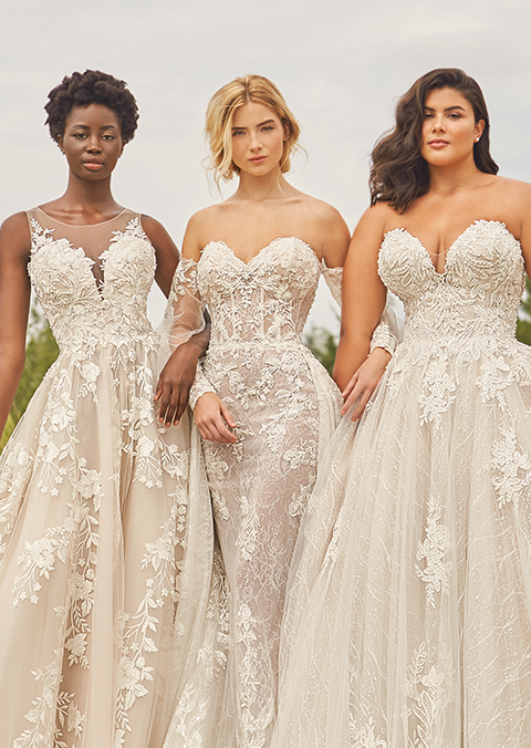 Bridal Fashion Trends: A Look at Designer Wedding Dresses in Brisbane - The  Bridal Company - Medium