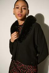 Image of 264955-Jacket